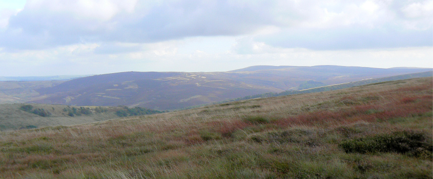 Wild Moor & Goyt's Moss Wild Moor & Goyt's Moss